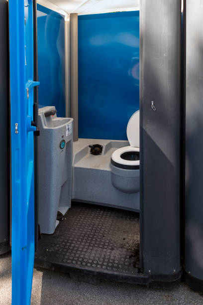 Best Sanitation services for porta potties  in Skagway, AK